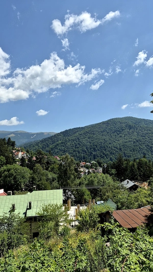 Cladire Pensiune D+P+2+M+Pod - 1089 mp + teren 893 mp - Sinaia - comision 0% - imagine 4