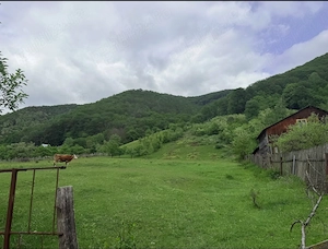  Vand Teren pe Raul Mic, Cugir, 5500 mp