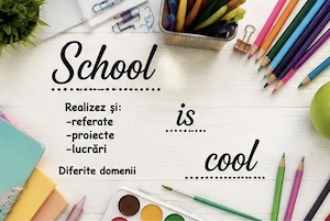 Meditații individuale matematică limba română logică și altele