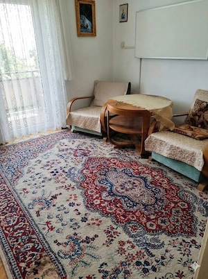 Apartament 2 camere etaj 2, vedere panoramică asupra Parcului Avram Iancu și a zonei ultracentrala - imagine 5
