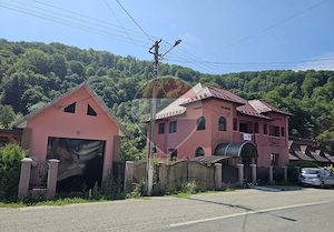Casă / Vilă cu 12 camere de vânzare - imagine 11