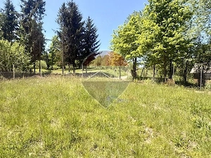Casa+1 hectar teren intravilan BREB MARAMURES - imagine 4