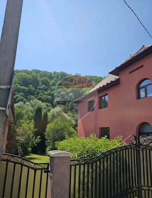 Casă / Vilă cu 12 camere de vânzare - imagine 4