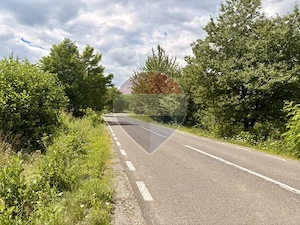 Teren la sosea intre BUDESTI si OCNA SUGATAG - imagine 4