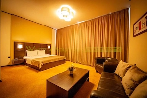 Timisoara, OPORTUNITATE INVESTITIE, hotel, clinica sau azil, 41 camere - imagine 8