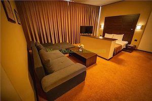 Timisoara, OPORTUNITATE INVESTITIE, hotel, clinica sau azil, 41 camere - imagine 6