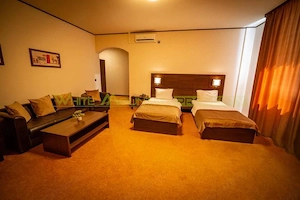 Timisoara, OPORTUNITATE INVESTITIE, hotel, clinica sau azil, 41 camere - imagine 7