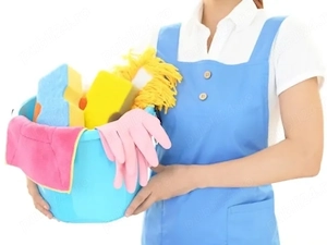 Curatenie la domiciliu, Home cleaning
