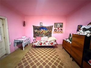CASA PLAN PARTER | TEREN 990 MP | ACCES AUTO | ZONA TARIAN | BIHOR - imagine 3
