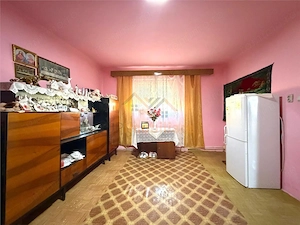 CASA PLAN PARTER | TEREN 990 MP | ACCES AUTO | ZONA TARIAN | BIHOR - imagine 2
