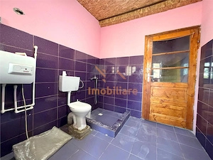 CASA PLAN PARTER | TEREN 990 MP | ACCES AUTO | ZONA TARIAN | BIHOR - imagine 11