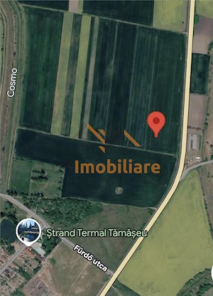 TEREN EXTRAVILAN | 28.700 MP | TAMASEU - imagine 2