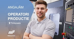 Manpower angajeaza operator productie in Remetea Mare