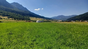Persoana fizica vand 1136mp teren intravilan - imagine 3