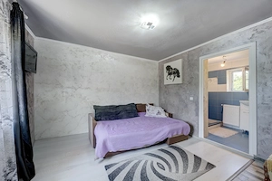 RACARI - DAMBOVITA - SAT BALANESTI, CASA PE PARTER 85 MP, LOT 2200 MP! - imagine 11