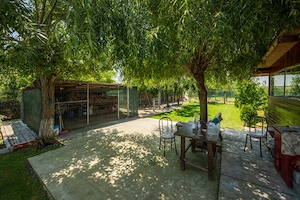 RACARI - DAMBOVITA - SAT BALANESTI, CASA PE PARTER 85 MP, LOT 2200 MP! - imagine 5
