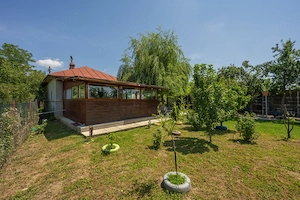 RACARI - DAMBOVITA - SAT BALANESTI, CASA PE PARTER 85 MP, LOT 2200 MP! - imagine 3