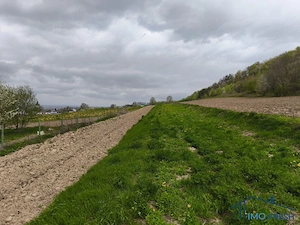 Teren 8300 mp Mariteia Mica (Dărmănești) - Ideal Investiție - imagine 2