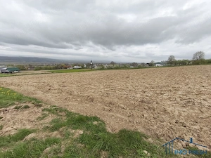 Teren 8300 mp Mariteia Mica (Dărmănești) - Ideal Investiție