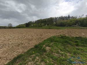 Teren 8300 mp Mariteia Mica (Dărmănești) - Ideal Investiție - imagine 4