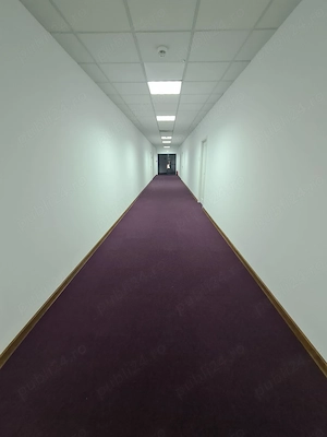 Spatiu birou in Campina--ultracentral--65mp--400e - imagine 19