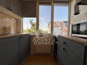 Apartament cu 2 camere decomandat spre vanzare, Timisoara zona Lipovei - imagine 10