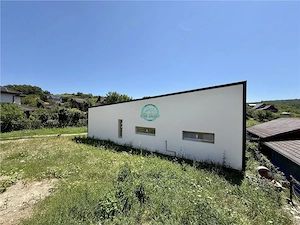 Casa cu 3 camere de vanzare, teren 400 mp, in Corunca - imagine 6