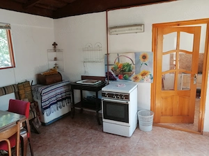 Casa caramida, 80.000 euro, 187mp, gaze, apa, electricitate, 4 camere+anexe , Valea Calugareasca,  - imagine 10