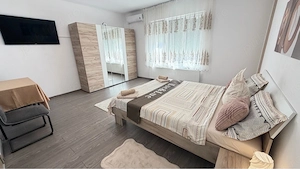 Regim Hotelier Buzias 150 Ron  Noapte  - imagine 2