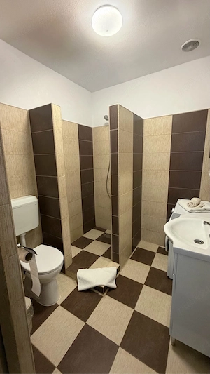 Inchiriez Regim Hotelier Buzias 150 Ron  Noapte - imagine 5
