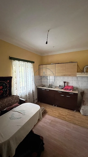 Casă de Vânzare în Dumitra  170 mp  20 Ari de Teren - imagine 8