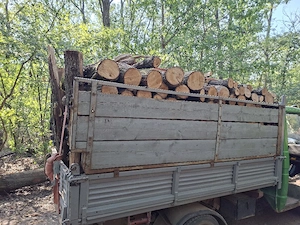 vand lemne de foc 