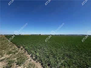 Teren intravilan de 19264 mp situat in zona Industriala Vest din Sibiu - imagine 4