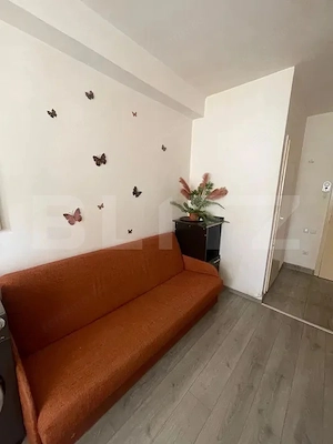 Garsoniera , pet friendly, zona strazii Lombului  - imagine 4