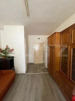 Garsoniera , pet friendly, zona strazii Lombului  - imagine 3