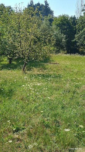 pământ de vânzare  450 euro aria - imagine 10