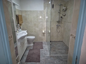 Vand vila superba, utilata modern, pe parter, situata intr-o zona linistita, la 15 minute de Arad - imagine 3