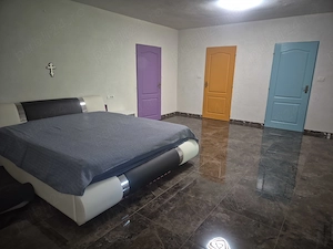 Vand vila superba, utilata modern, pe parter, situata intr-o zona linistita, la 15 minute de Arad - imagine 2