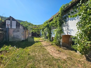 Casă cu anexe, 180 mp, teren intravilan 1.249 mp – Laz, Săsciori - imagine 2