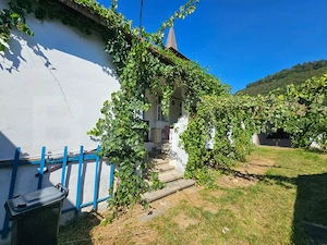 Casă cu anexe, 180 mp, teren intravilan 1.249 mp – Laz, Săsciori