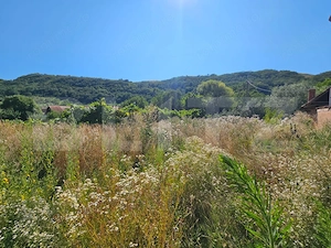Casă cu anexe, 180 mp, teren intravilan 1.249 mp – Laz, Săsciori - imagine 18