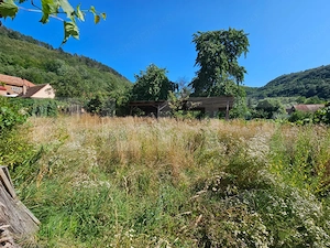 Casă cu anexe, 180 mp, teren intravilan 1.249 mp – Laz, Săsciori - imagine 17