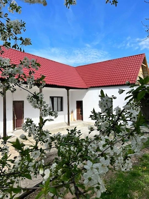 Central -Sanandrei -Casa 3 Camere -Teren Generos - imagine 7