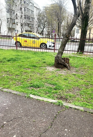 Vânzare 3 Camere 110 mp | Centrală Proprie | 2 min Mall Vitan, 12 min Metrou - imagine 3