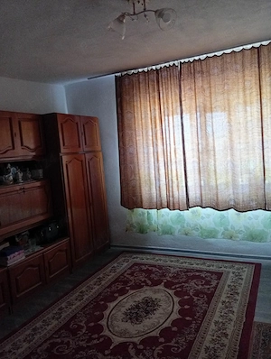 Casa de vânzare  Sat Bacova jud Timiș  - imagine 5