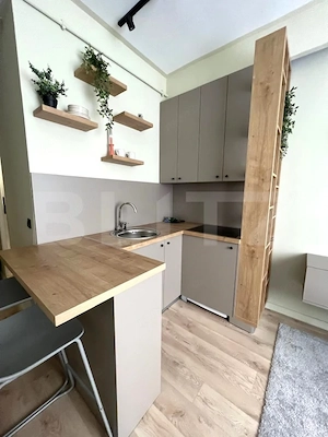 Apartamnt cu o camera, 21 mp,  complet renovat, zona Calea Floresti  - imagine 4