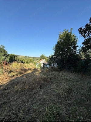 De Inchiriat   Inchiriez teren 1300mp la 29km de Iasi Sat Covasna Com Costuleni