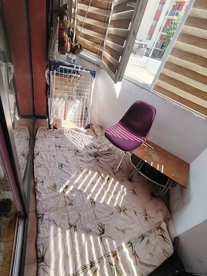  APCJ247352: Vanzare Apartament 3 camere decomandat, 72 mp, Stejarului - imagine 11