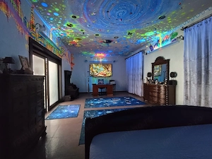 Casa cu Fotovoltaice si Pompa de Caldura, Calea Clujului, Oradea - imagine 6