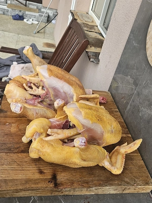 vand pui de carne  - imagine 2
